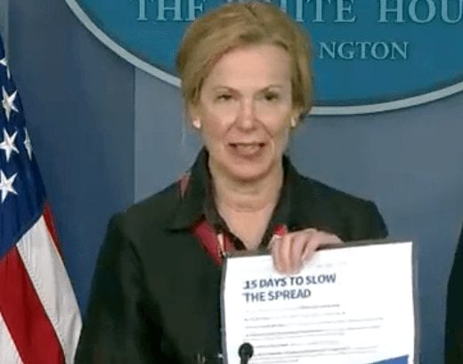 Dr. Deborah Birx holding the Trump administration's 15 day plan on March