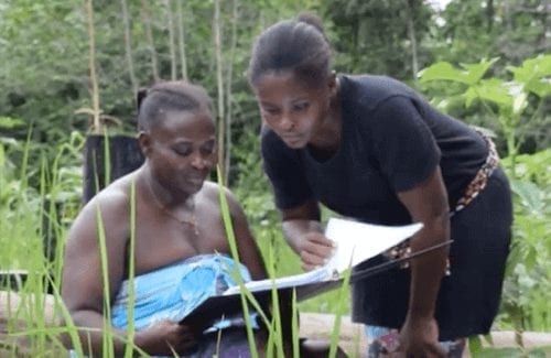 Maroon rice farmers look at researcher findings.
