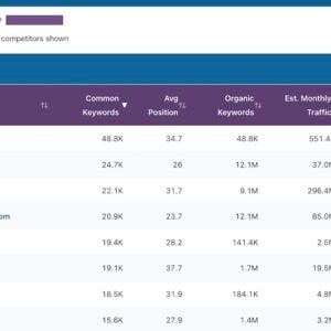 Results from Competitor Finder SEO tool