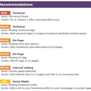 Results from DIY SEO technical audit tool