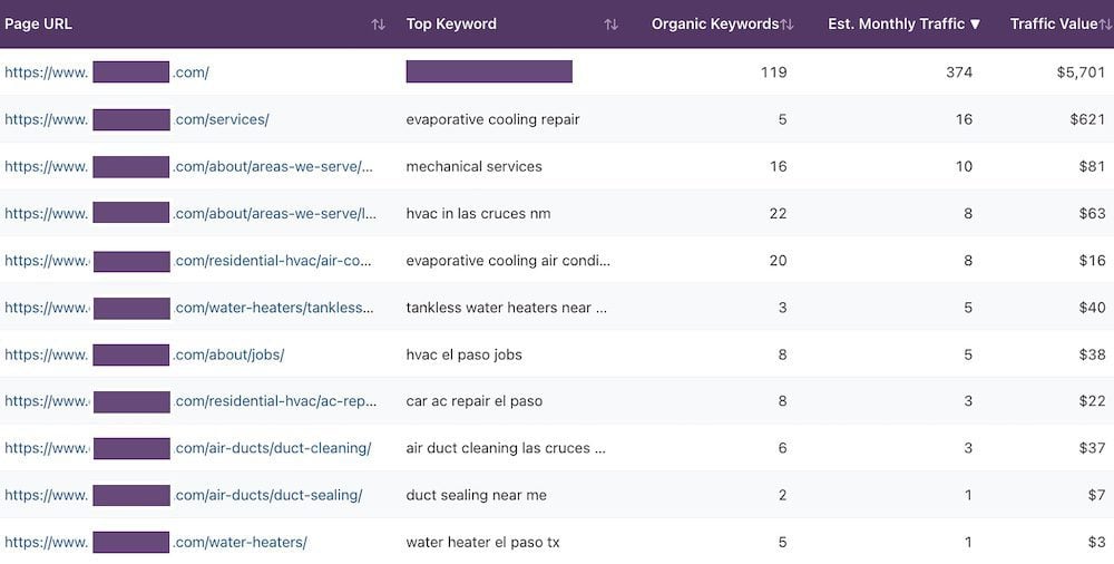Example of the Top Pages Analyzer tool